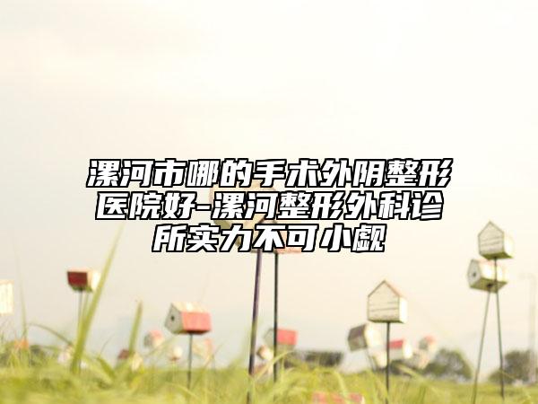 漯河市哪的手术外阴整形医院好-漯河整形外科诊所实力不可小觑