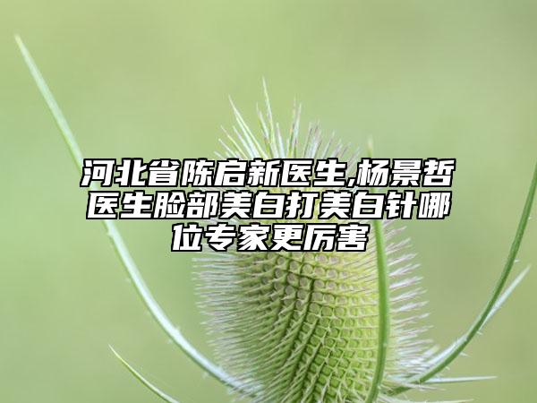 河北省陈启新医生,杨景哲医生脸部美白打美白针哪位专家更厉害