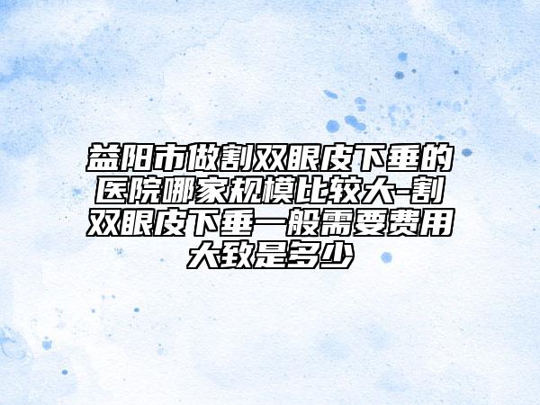 益阳市做割双眼皮下垂的医院哪家规模比较大-割双眼皮下垂一般需要费用大致是多少