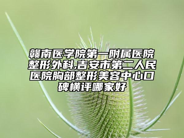 赣南医学院第一附属医院整形外科,吉安市第二人民医院胸部整形美容中心口碑横评哪家好