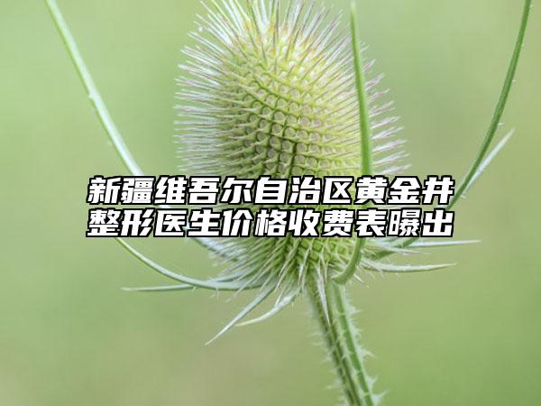 新疆维吾尔自治区黄金井整形医生价格收费表曝出