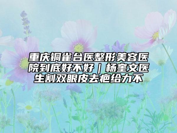 重庆铜雀台医整形美容医院到底好不好｜杨奎文医生割双眼皮去疤给力不