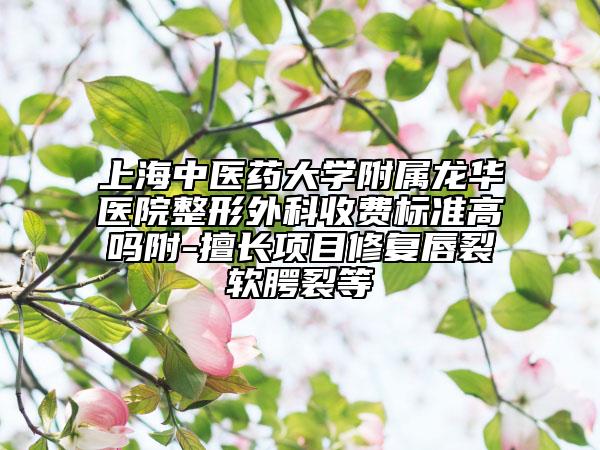 上海中医药大学附属龙华医院整形外科收费标准高吗附-擅长项目修复唇裂软腭裂等