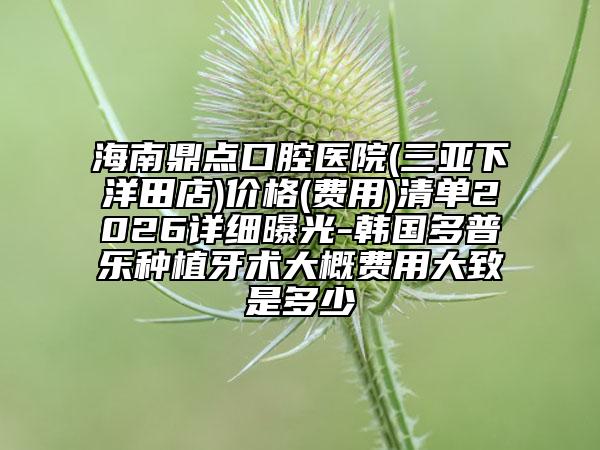 海南鼎点口腔医院(三亚下洋田店)价格(费用)清单2026详细曝光-韩国多普乐种植牙术大概费用大致是多少
