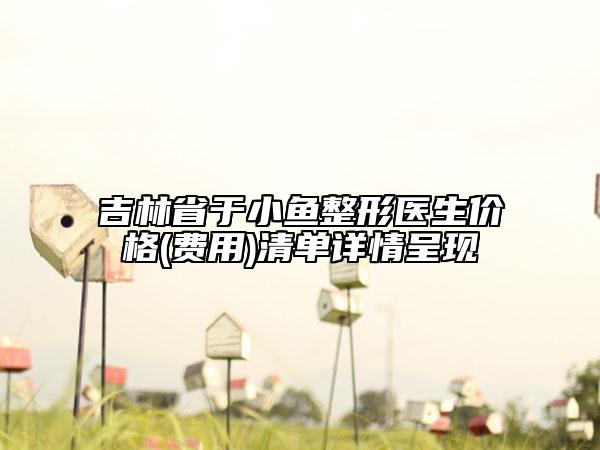 吉林省于小鱼整形医生价格(费用)清单详情呈现