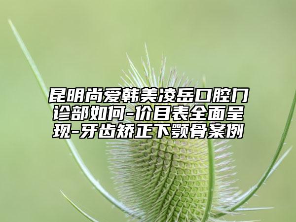 昆明尚爱韩美凌岳口腔门诊部如何-价目表全面呈现-牙齿矫正下颚骨案例