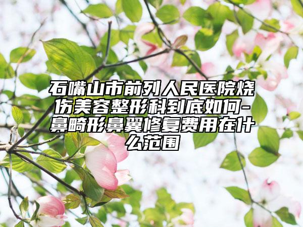 石嘴山市前列人民医院烧伤美容整形科到底如何-鼻畸形鼻翼修复费用在什么范围
