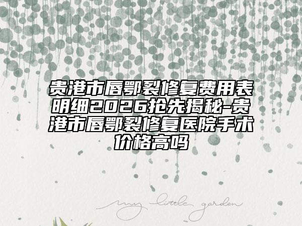 贵港市唇鄂裂修复费用表明细2026抢先揭秘-贵港市唇鄂裂修复医院手术价格高吗