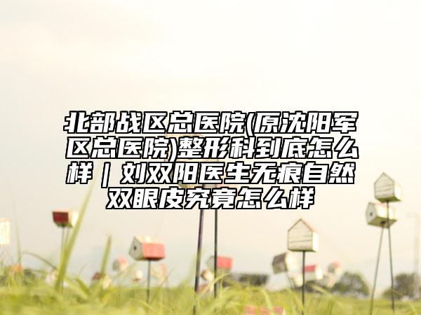 北部战区总医院(原沈阳军区总医院)整形科到底怎么样｜刘双阳医生无痕自然双眼皮究竟怎么样