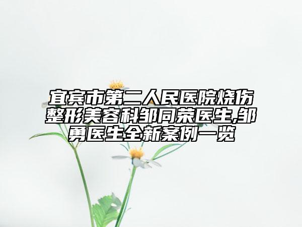 宜宾市第二人民医院烧伤整形美容科邹同荣医生,邹勇医生全新案例一览