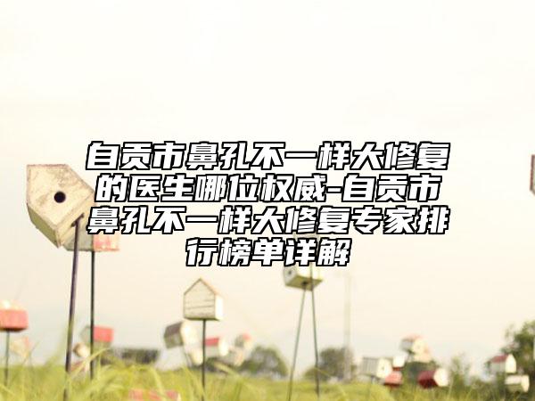 自贡市鼻孔不一样大修复的医生哪位权威-自贡市鼻孔不一样大修复专家排行榜单详解