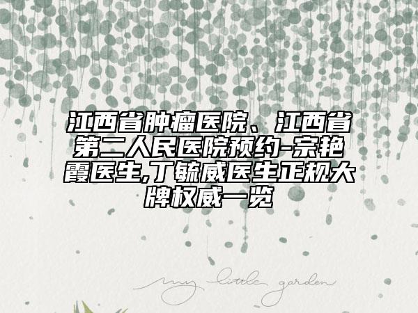 江西省肿瘤医院、江西省第二人民医院预约-宗艳霞医生,丁毓威医生正规大牌权威一览