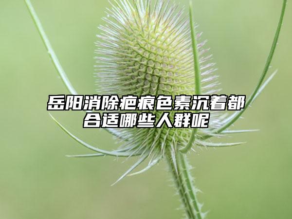岳阳消除疤痕色素沉着都合适哪些人群呢