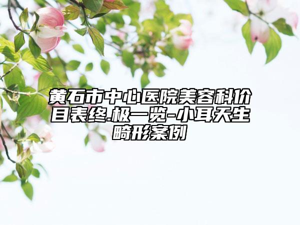黄石市中心医院美容科价目表终.极一览-小耳天生畸形案例