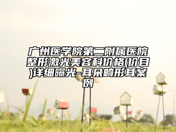 广州医学院第二附属医院整形激光美容科价格(价目)详细曝光-耳朵畸形耳案例