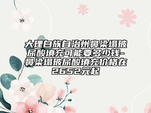 大理白族自治州鼻梁塌玻尿酸填充可能要多少钱-鼻梁塌玻尿酸填充价格在2652元起