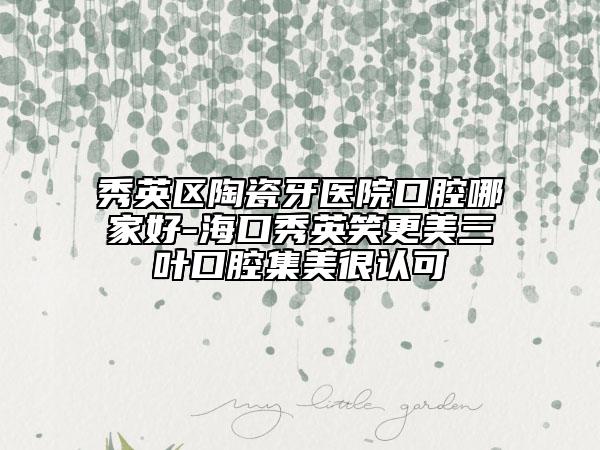 秀英区陶瓷牙医院口腔哪家好-海口秀英笑更美三叶口腔集美很认可