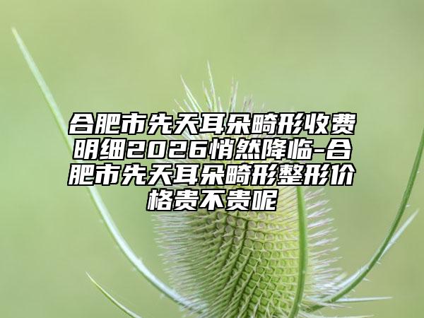 合肥市先天耳朵畸形收费明细2026悄然降临-合肥市先天耳朵畸形整形价格贵不贵呢