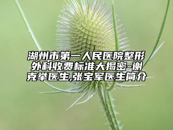 湖州市第一人民医院整形外科收费标准大揭密-谢克举医生,张宝军医生简介