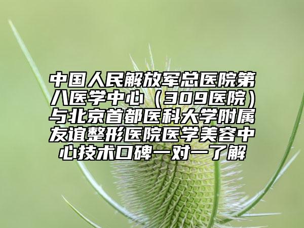 中国人民解放军总医院第八医学中心（309医院）与北京首都医科大学附属友谊整形医院医学美容中心技术口碑一对一了解