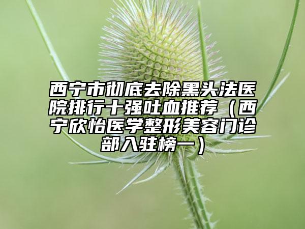 西宁市彻底去除黑头法医院排行十强吐血推荐（西宁欣怡医学整形美容门诊部入驻榜一）
