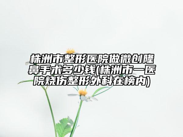 株洲市整形医院做微创隆鼻手术多少钱(株洲市一医院烧伤整形外科在榜内)