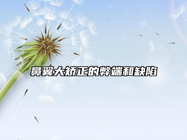 鼻翼大矫正的弊端和缺陷