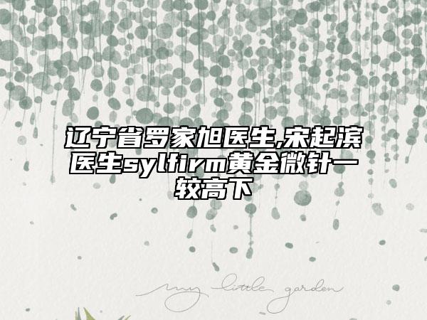 辽宁省罗家旭医生,宋起滨医生sylfirm黄金微针一较高下
