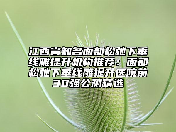 江西省知名面部松弛下垂线雕提升机构推荐：面部松弛下垂线雕提升医院前30强公测精选