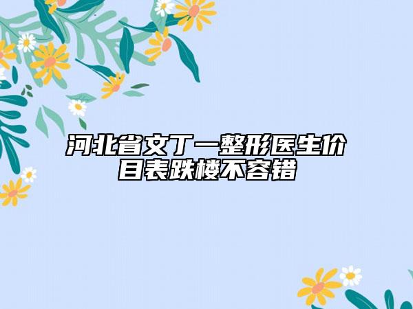 河北省文丁一整形医生价目表跌楼不容错