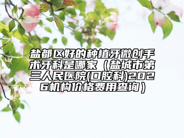 盐都区好的种植牙微创手术牙科是哪家（盐城市第三人民医院(口腔科)2026机构价格费用查询）