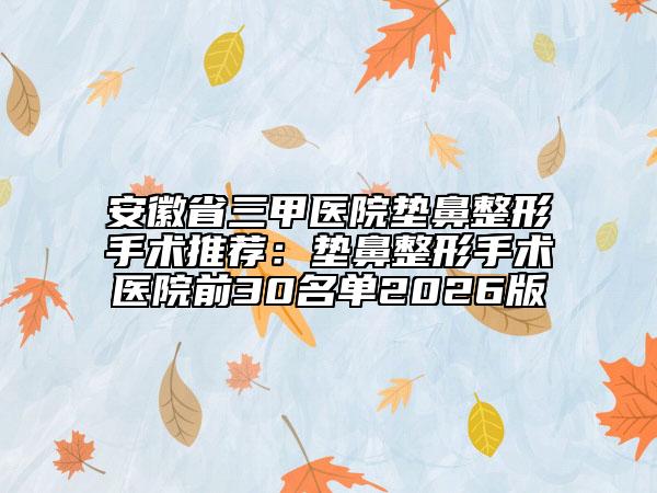 安徽省三甲医院垫鼻整形手术推荐：垫鼻整形手术医院前30名单2026版