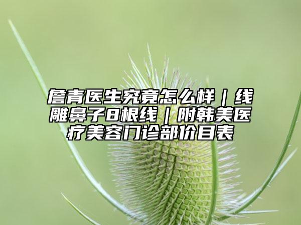 詹青医生究竟怎么样｜线雕鼻子8根线｜附韩美医疗美容门诊部价目表