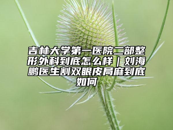 吉林大学第一医院二部整形外科到底怎么样｜刘海鹏医生割双眼皮局麻到底如何