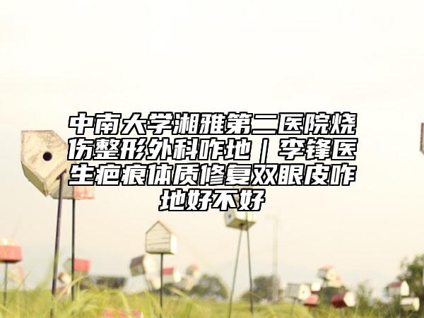 中南大学湘雅第二医院烧伤整形外科咋地｜李锋医生疤痕体质修复双眼皮咋地好不好