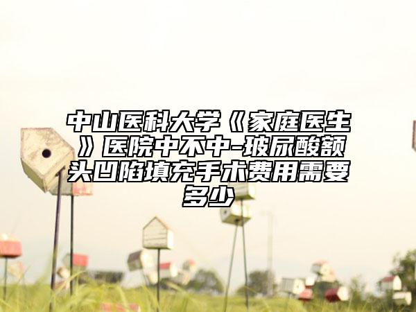 中山医科大学《家庭医生》医院中不中-玻尿酸额头凹陷填充手术费用需要多少