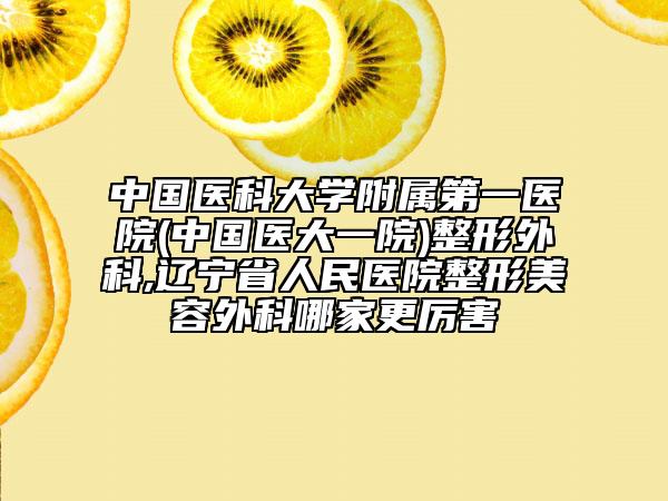 中国医科大学附属第一医院(中国医大一院)整形外科,辽宁省人民医院整形美容外科哪家更厉害