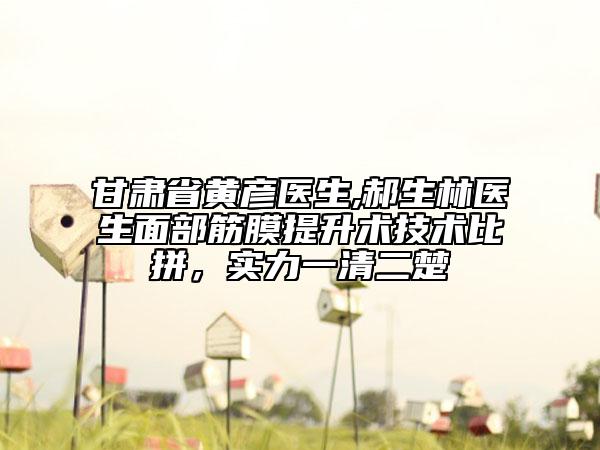 甘肃省黄彦医生,郝生林医生面部筋膜提升术技术比拼，实力一清二楚