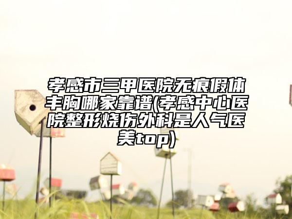孝感市三甲医院无痕假体丰胸哪家靠谱(孝感中心医院整形烧伤外科是人气医美top)