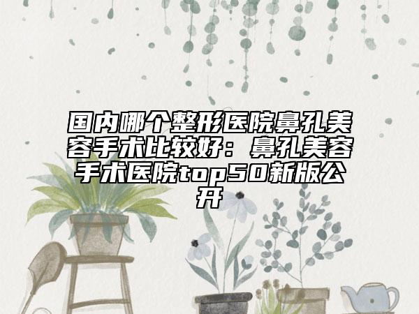 国内哪个整形医院鼻孔美容手术比较好：鼻孔美容手术医院top50新版公开