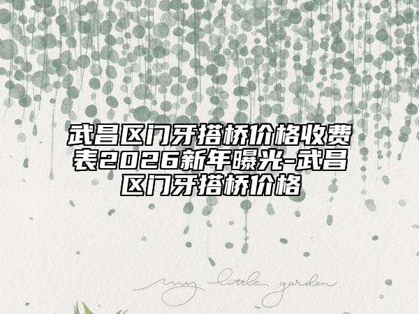 武昌区门牙搭桥价格收费表2026新年曝光-武昌区门牙搭桥价格