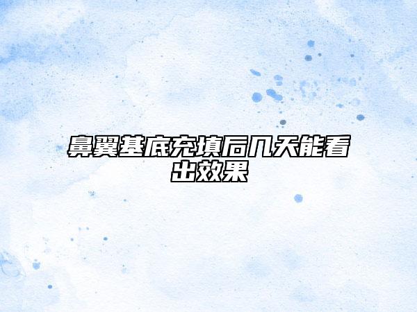 鼻翼基底充填后几天能看出效果