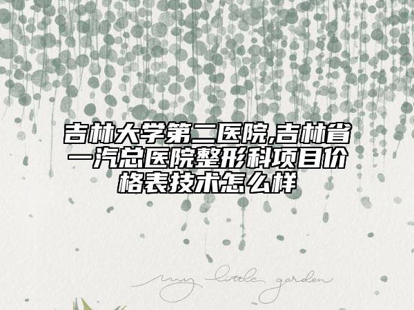 吉林大学第二医院,吉林省一汽总医院整形科项目价格表技术怎么样