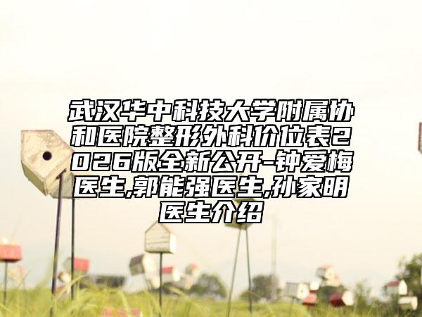 武汉华中科技大学附属协和医院整形外科价位表2026版全新公开-钟爱梅医生,郭能强医生,孙家明医生介绍