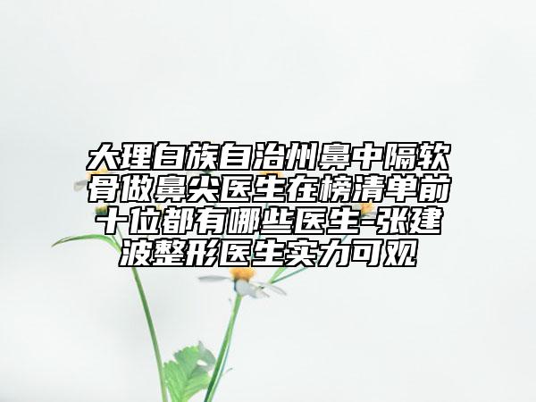 大理白族自治州鼻中隔软骨做鼻尖医生在榜清单前十位都有哪些医生-张建波整形医生实力可观
