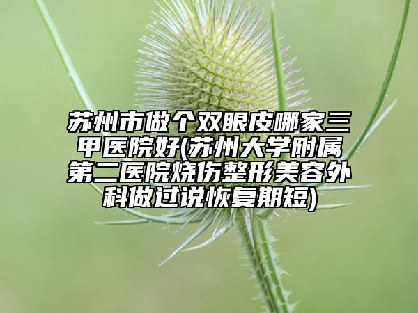 苏州市做个双眼皮哪家三甲医院好(苏州大学附属第二医院烧伤整形美容外科做过说恢复期短)