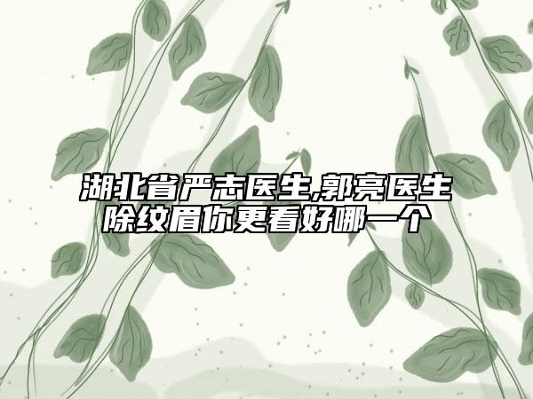 湖北省严志医生,郭亮医生除纹眉你更看好哪一个