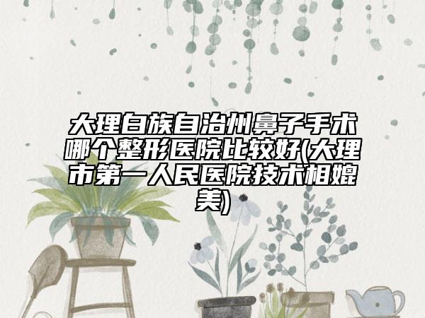 大理白族自治州鼻子手术哪个整形医院比较好(大理市第一人民医院技术相媲美)