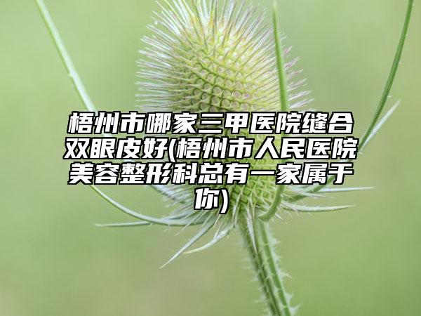 梧州市哪家三甲医院缝合双眼皮好(梧州市人民医院美容整形科总有一家属于你)