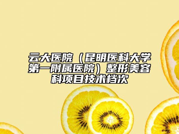 云大医院（昆明医科大学第一附属医院）整形美容科项目技术档次